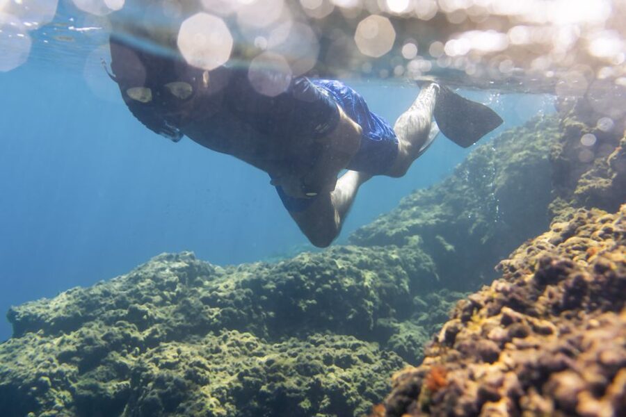 1-Hour Snorkeling Tour in Paraggi Bay, Portofino - Key details before you book