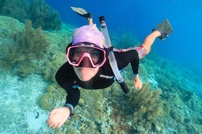 100% Private Charter Snorkel, Sail, Relax (Cruisers Friendly) - Starting in Kralendijk With a Short Check-In