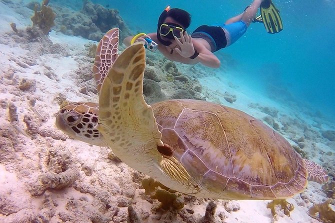 100% Private Charter Snorkel, Sail, Relax (Cruisers Friendly) - Salt Flats and Salt Pier Along the Southern Coast