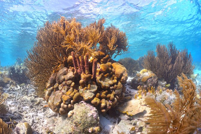 100% Private Charter Snorkel, Sail, Relax (Cruisers Friendly) - Sailing the Bay of Kralendijk