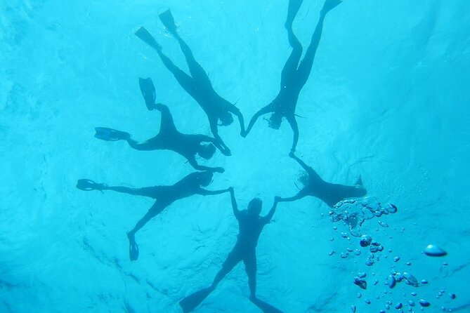 2-Hour Dolphin Watching and Double Reef with Snorkel in Hawaii - Is $97.94 a fair price?