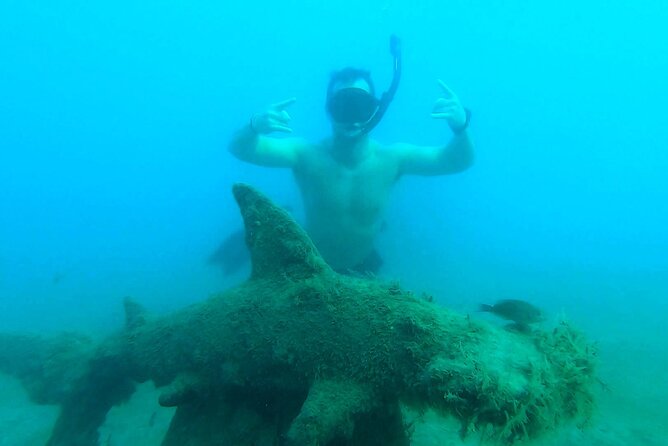 2 ½ - Hour Guided Snorkel Tour of Phil Foster park, Free Videos! - A good choice for first-time snorkelers