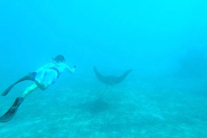 2 ½ - Hour Guided Snorkel Tour of Phil Foster park, Free Videos! - What the $44 price really includes