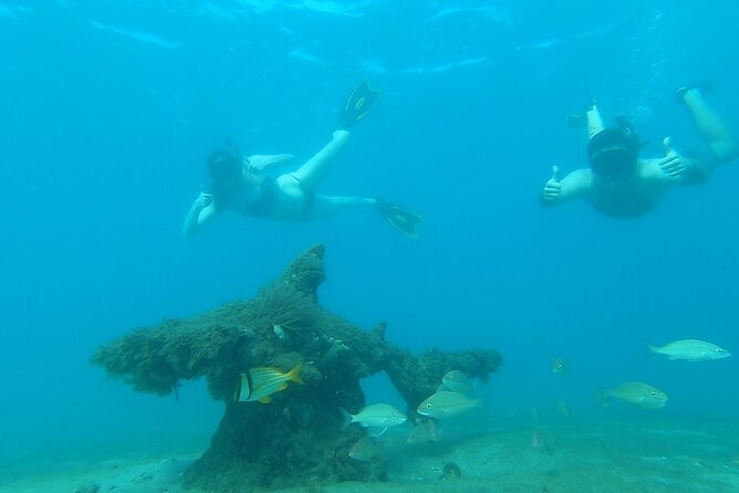 2 ½ - Hour Guided Snorkel Tour of Phil Foster park, Free Videos! - The swim from shore to reef