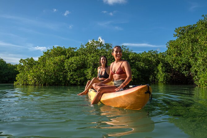 2 Hour Mangrove Kayak and Snorkel Tour - Key points before you book