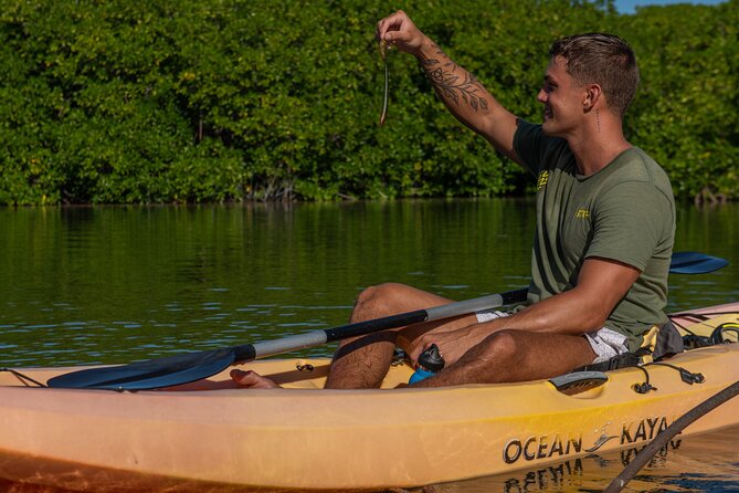 2 Hour Mangrove Kayak and Snorkel Tour - What the guide adds to the outing