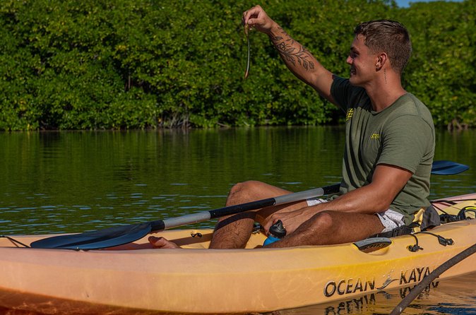 2 Hour Mangrove Kayak and Snorkel Tour - Is the $60 price fair?