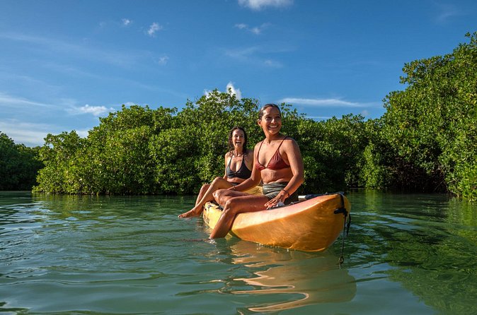 2 Hour Mangrove Kayak and Snorkel Tour - Should you book the Mangrove Kayak and Snorkel Tour?
