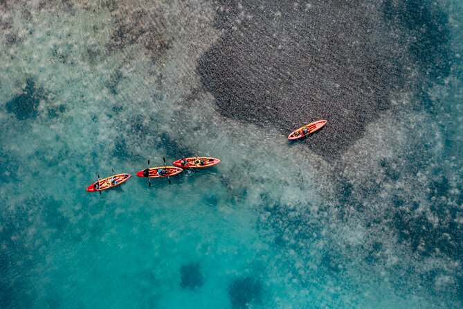 2 Hour Mangrove Kayak and Snorkel Tour - Paddling farther into Lac Bay
