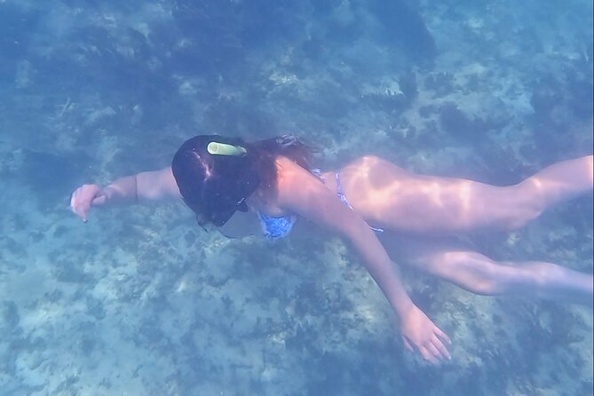 2-Hour Snorkeling in Two Spots of Tulum's Reef - Equipment, boat comfort, and sea conditions