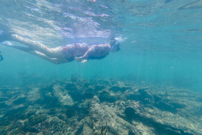 2-Hour Snorkeling in Two Spots of Tulum's Reef - Who will enjoy this Tulum snorkeling trip?