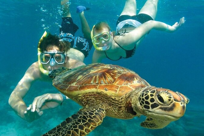 2 Hours Turtle Feeding, Shipwreck & Reef Snorkeling Tour Barbados - The west coast ride fills out the two hours
