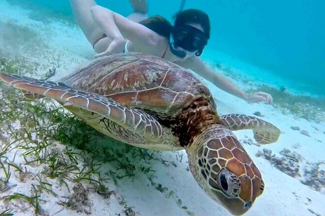 2 Hours Turtle Feeding, Shipwreck & Reef Snorkeling Tour Barbados - Drinks, slide, and the party-boat mood