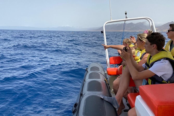 2h Dolphin and Whale Viewing + Snorkeling Tour - Leaving Morro Jable on a compact speedboat