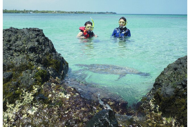 3.5 Hour Kailua-Kona Ocean Kayak and Snorkel Tour - A morning on Kona’s open coast