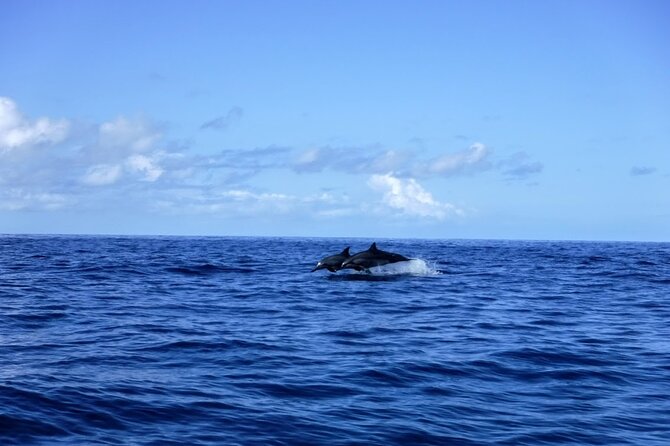 3.5 Hour Kailua-Kona Ocean Kayak and Snorkel Tour - Physical demands, seasickness, and comfort
