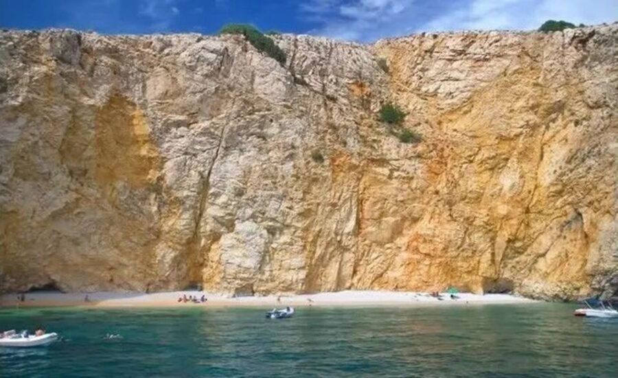 3,5h Wild Bays: Swim & Snorkel with Capt. Bobo (Public) - The value of $41 per person