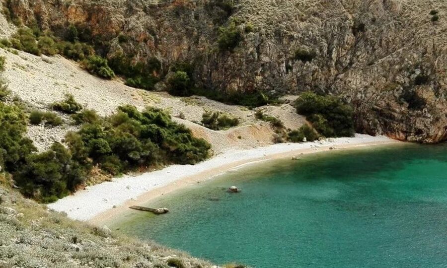 3,5h Wild Bays: Swim & Snorkel with Capt. Bobo (Public) - Five bays, one flexible route