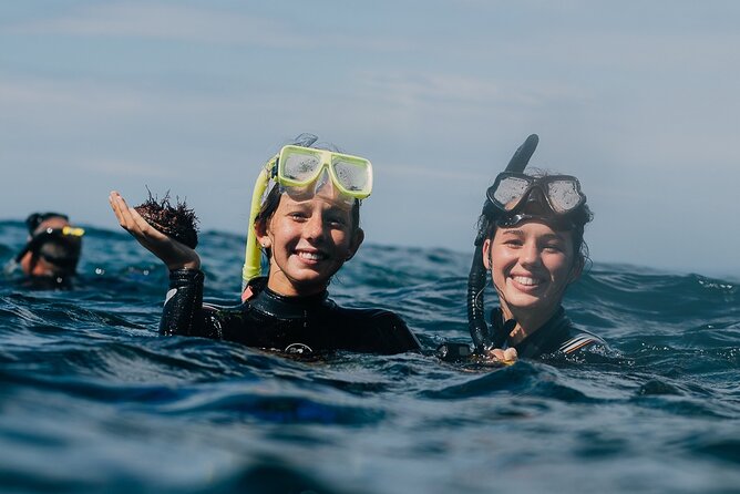 3-Hour Kayak and Snorkeling Experience in Batemans Bay - Key points to know before you book