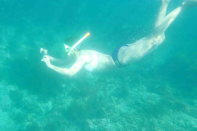 3-Hour Kayak and Snorkeling Experience in Batemans Bay - Who will enjoy this Batemans Bay outing?