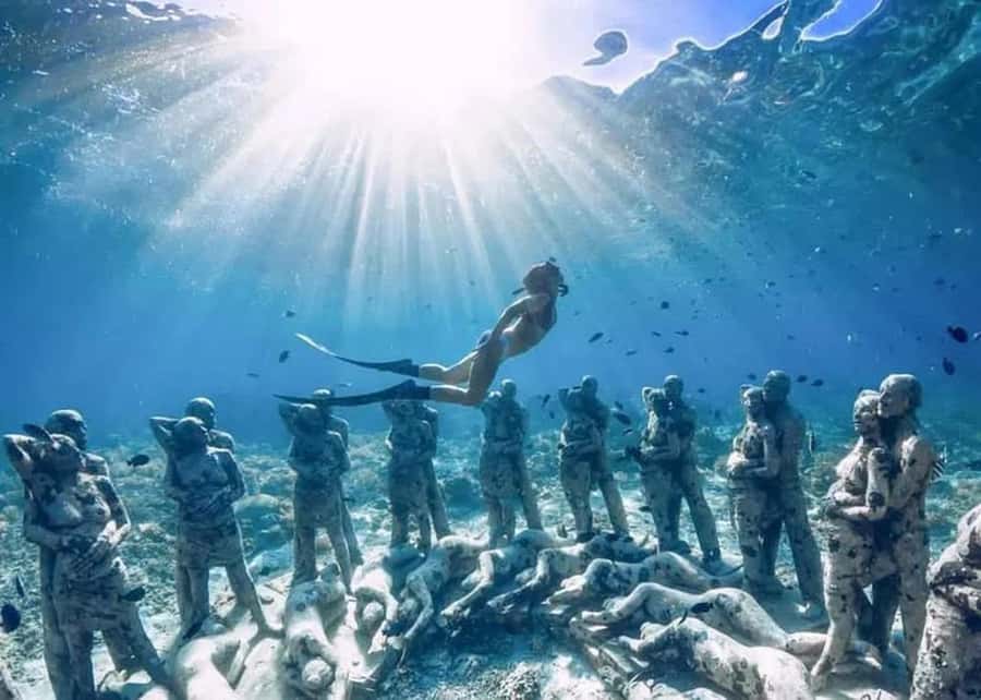 3 Islands Snorkeling with Glass Bottom Boat & GOPRO SHOOT - Turtle Sanctuary and the Other Island Stops
