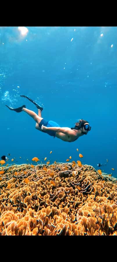 3 Islands Snorkeling with Glass Bottom Boat & GOPRO SHOOT - Weather, Safety, and Who Should Go