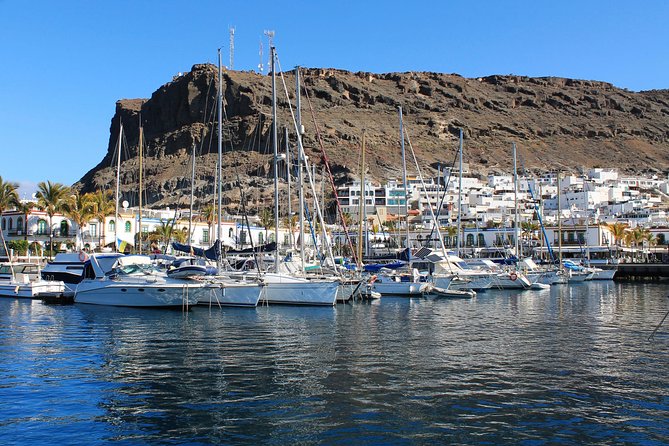 3h Boat Trip + Snorkeling in Puerto de Mogan - What lunch and the open bar add to the price