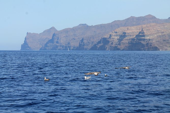 3h Boat Trip + Snorkeling in Puerto de Mogan - Photos and drone footage, with realistic expectations