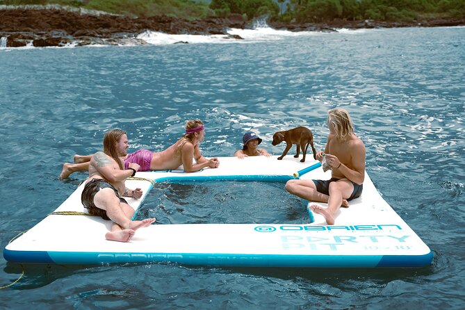 4 Hour Big Island Dolphin Watch Boat Tour, Snorkeling & BBQ Lunch - A fast start along the Kona coast
