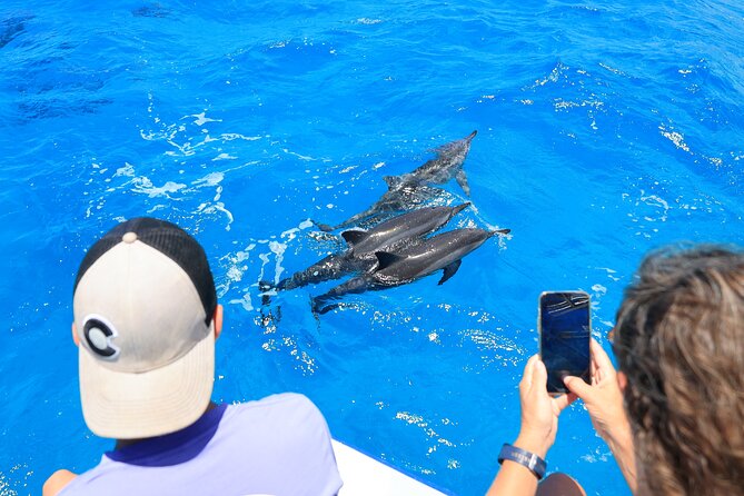 4 Hour Big Island Dolphin Watch Boat Tour, Snorkeling & BBQ Lunch - A simple BBQ lunch on the boat
