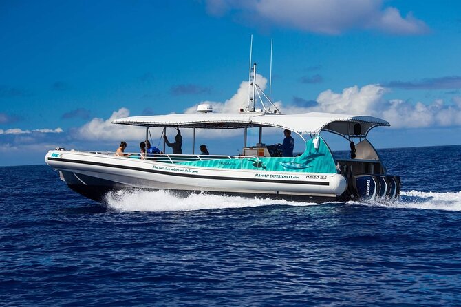4 Hour Big Island Dolphin Watch Boat Tour, Snorkeling & BBQ Lunch - Who will enjoy this Kona outing most