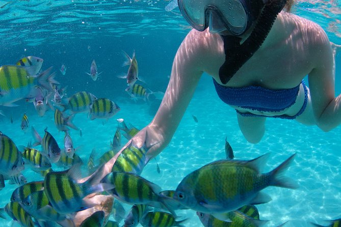 4-Hour Catamaran Sail and Snorkel Tour from Grace Bay - Lunch, rum punch, and the sail back