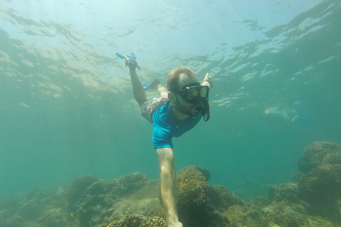 4-Hour Snorkeling Tour in Cabo San Lucas and Corridor - A quick look at the Arch and sea lions