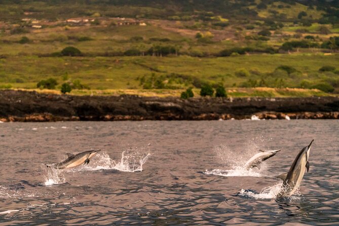 4 Hour Super-Raft Snorkeling Experience in Kailua-Kona - Why this Super-Raft works better than a standard snorkel boat