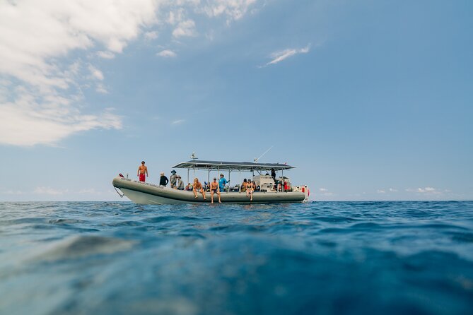 4 Hour Super-Raft Snorkeling Experience in Kailua-Kona - What you might see below the surface