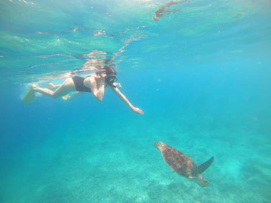 4 Hours Snorkeling 3 Gilis ( Trawangan,Meno, Gili air) - Quick take on the three-island trip