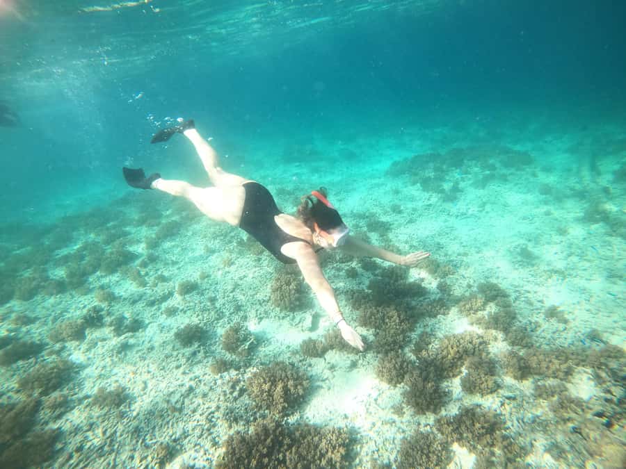 4 Hours Snorkeling 3 Gilis ( Trawangan,Meno, Gili air) - What the $13 price really covers
