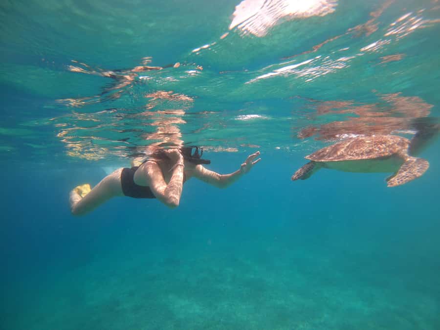4 Hours Snorkeling 3 Gilis ( Trawangan,Meno, Gili air) - Stop two: coral, fish, and the statue site
