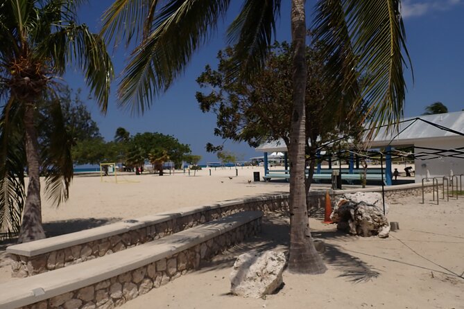 4-Stop Stingray, Snorkel, Star Fish & 7 Mile Beach (Family Owned) - What the crew adds to the experience
