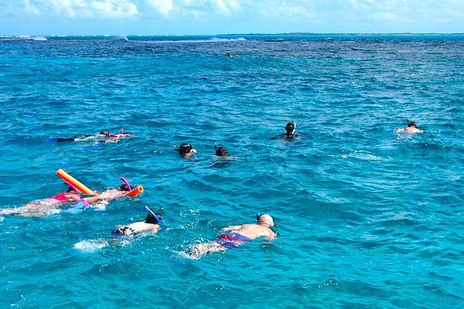 4hour Group Half Day Snorkeling Excursion in Grace Bay - A half-day boat trip with a little of everything