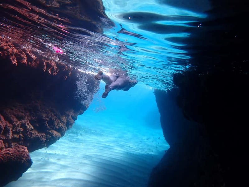 5-hour Cape Greco Caves kayaking + Snorkelling trip - Snorkeling through blue water and sea caves