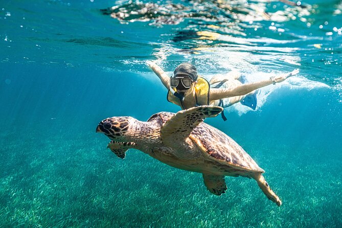 5-in-1 Cancun Snorkeling: Turtles, Reef, Musa, Shipwreck, Cenote - The shipwreck is often the surprise favorite