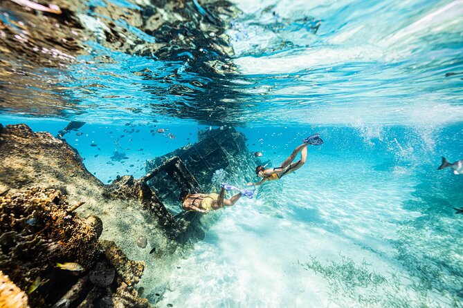 5-in-1 Cancun Snorkeling: Turtles, Reef, Musa, Shipwreck, Cenote - What the $79 price really covers