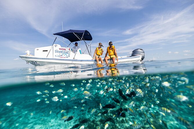 5-in-1 Cancun Snorkeling: Turtles, Reef, Musa, Shipwreck, Cenote - MUSA turns snorkeling into an art visit