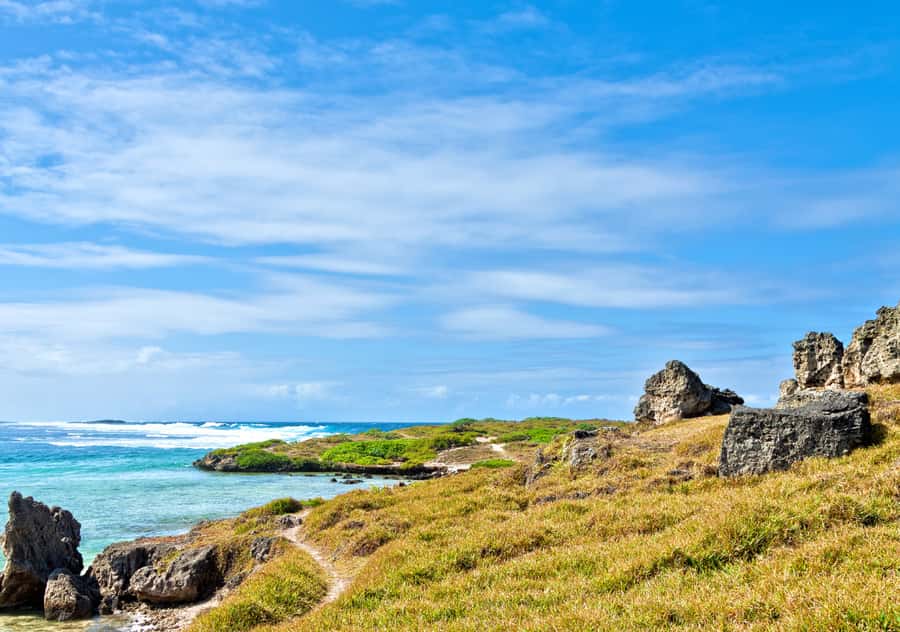 5 Islands Boat Trip, Snorkeling and Lunch on Ile aux Cerfs - Ile aux Cerfs and the tropical pause