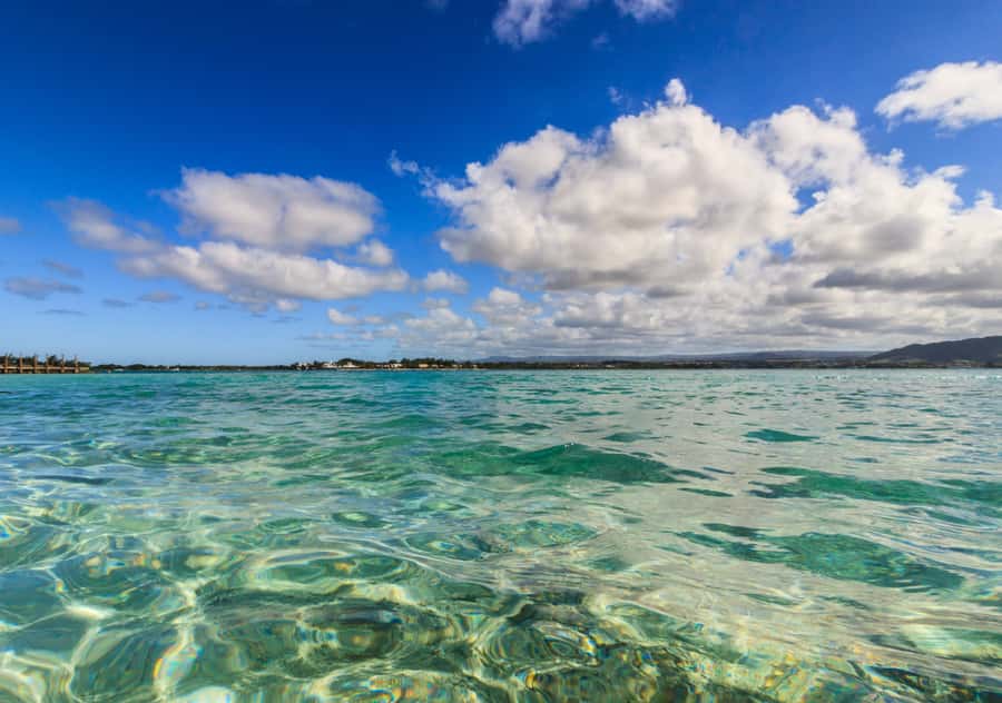 5 Islands Boat Trip, Snorkeling and Lunch on Ile aux Cerfs - Ile aux Aigrettes and local wildlife
