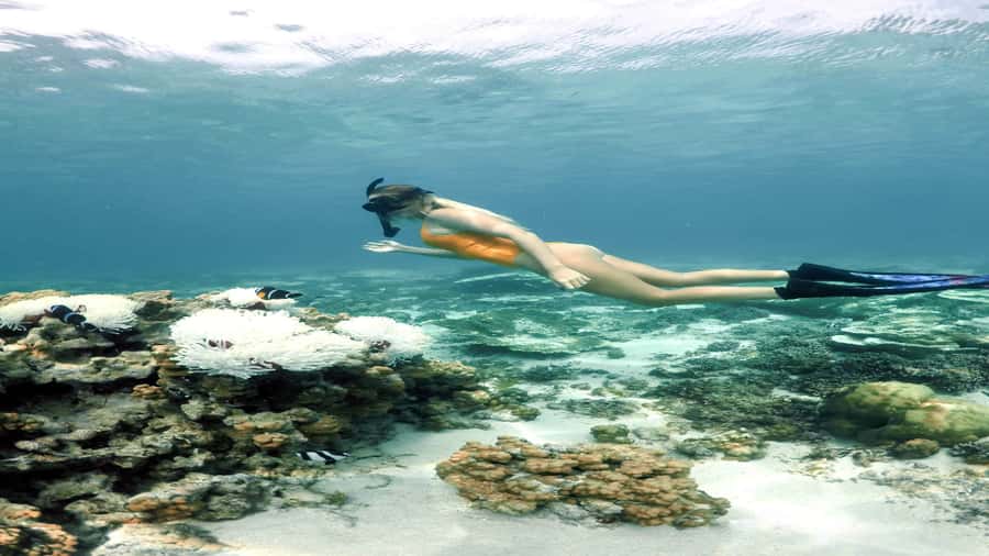 5 Islands Private Speedboat w/ Snorkeling + Lunch & Drinks - Ile aux Aigrettes and the open bar