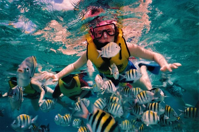 5 Islands Speedboat Cruise incl. Snorkeling in Blue Bay + Lunch at Ile aux Cerfs - Ile aux Aigrettes and the refreshments stop