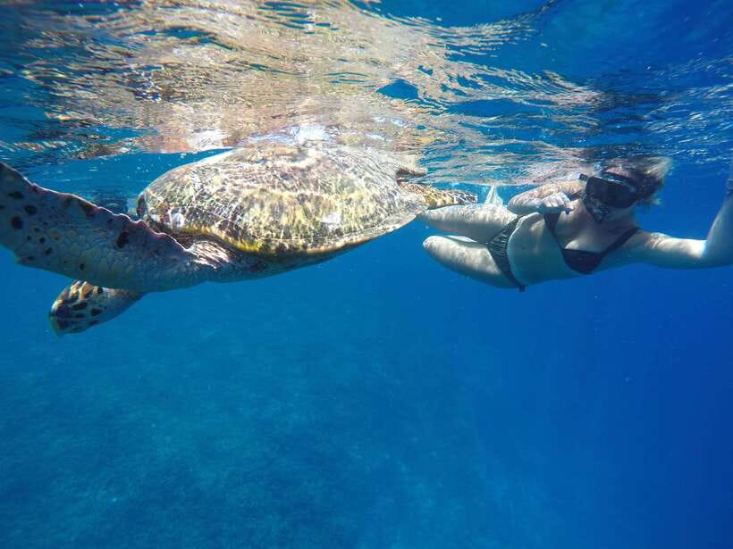 5 Secret Gili Boat Trip & Snorkeling in Southwest Of Lombok - Gili Layar: the strongest chance for turtles