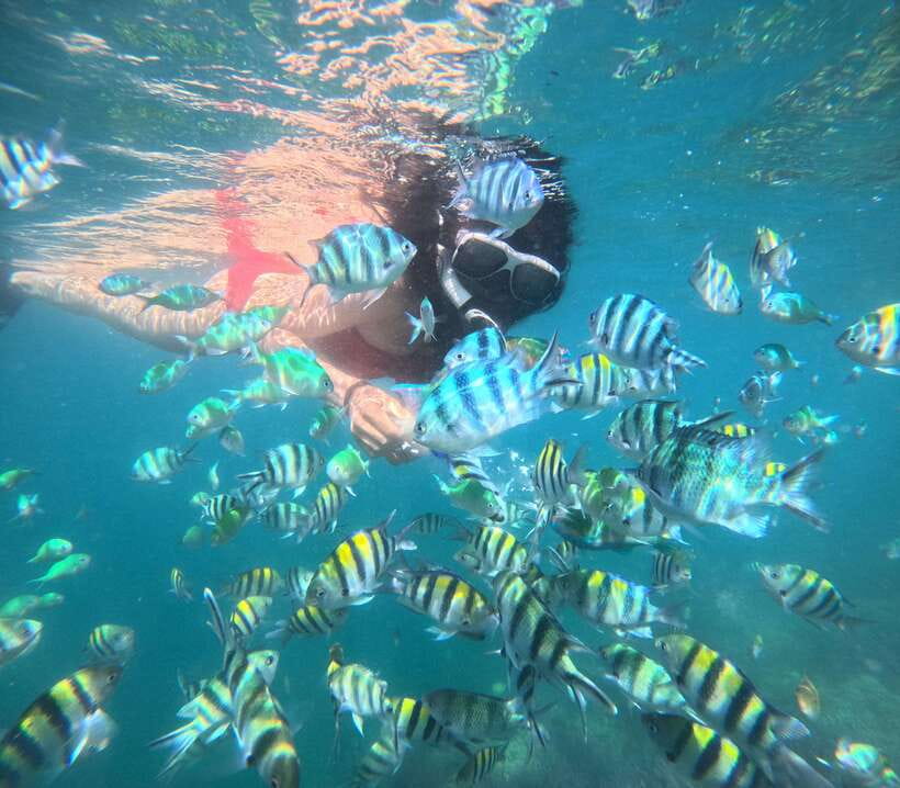 5 Secret Gili Boat Trip & Snorkeling in Southwest Of Lombok - Gili Nanggu and the clownfish encounter